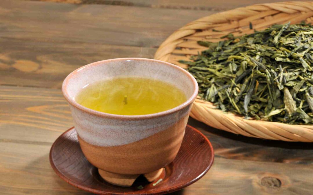 Dégustation de Tamaryokucha : le thé vert frisé japonais