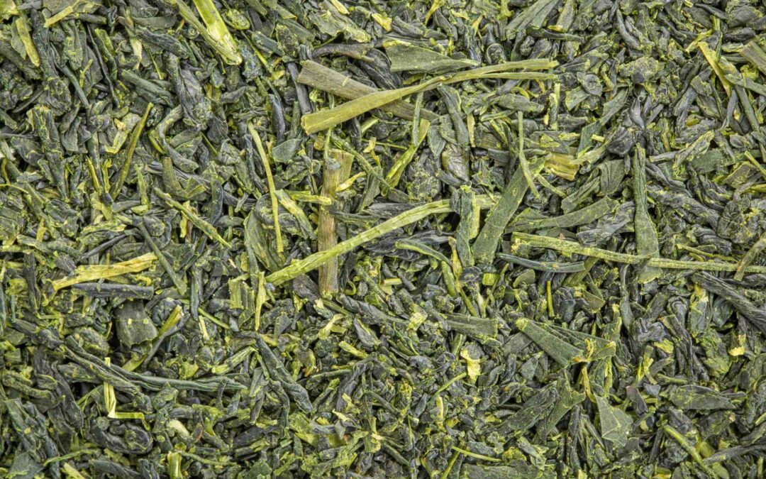 A la découverte du Kabusecha : Le thé vert japonais cultivé à l’ombre
