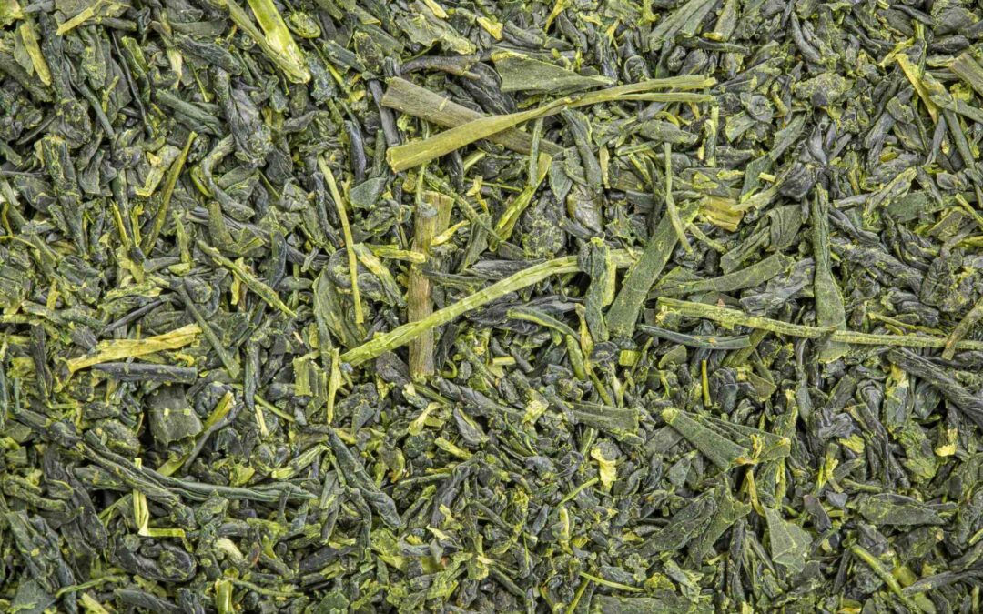 A la découverte du Kabusecha : Le thé vert japonais cultivé à l’ombre