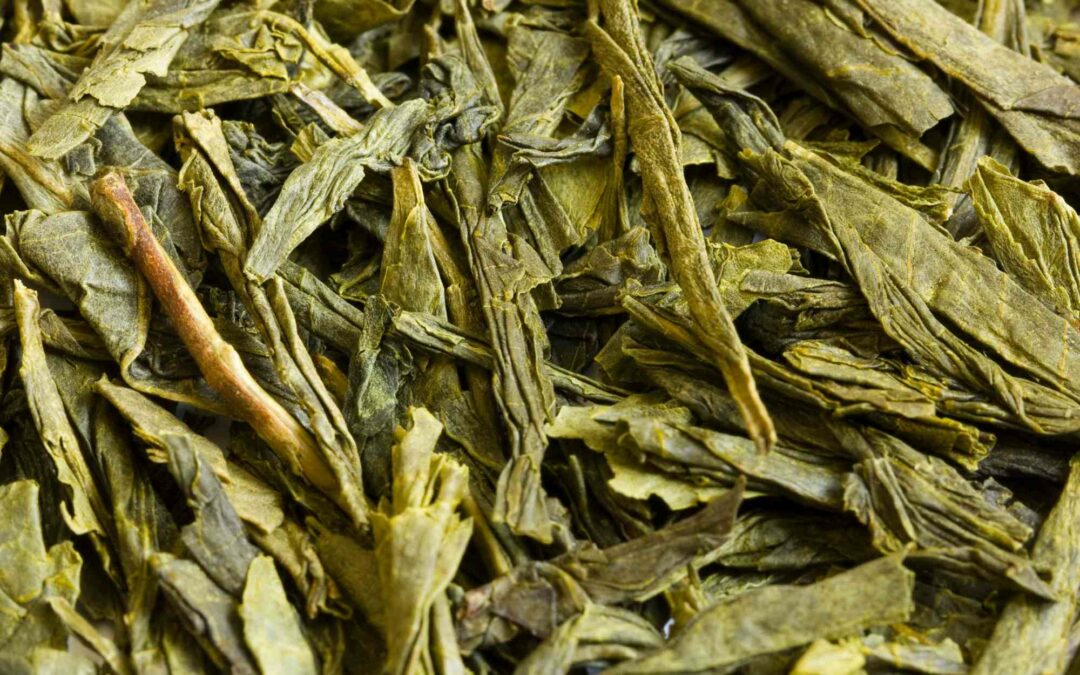 Découvrir Bancha : le thé vert japonais de tous les jours
