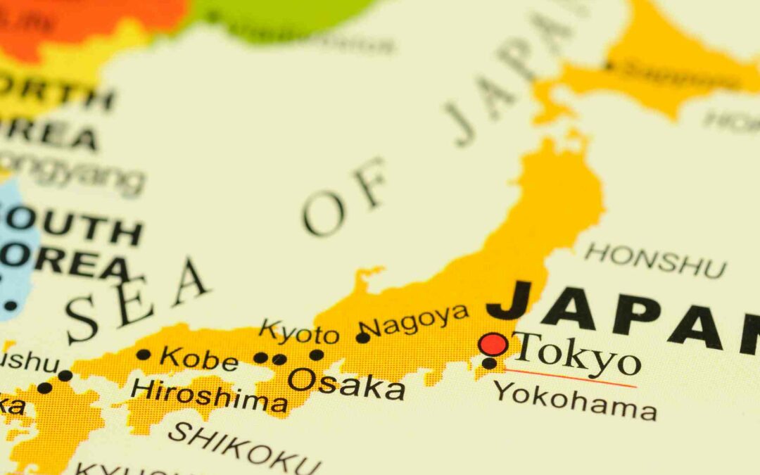 Enquête sur le Mecha : Le thé vert japonais roulé à la main