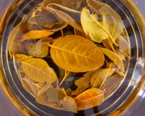 infuse-the