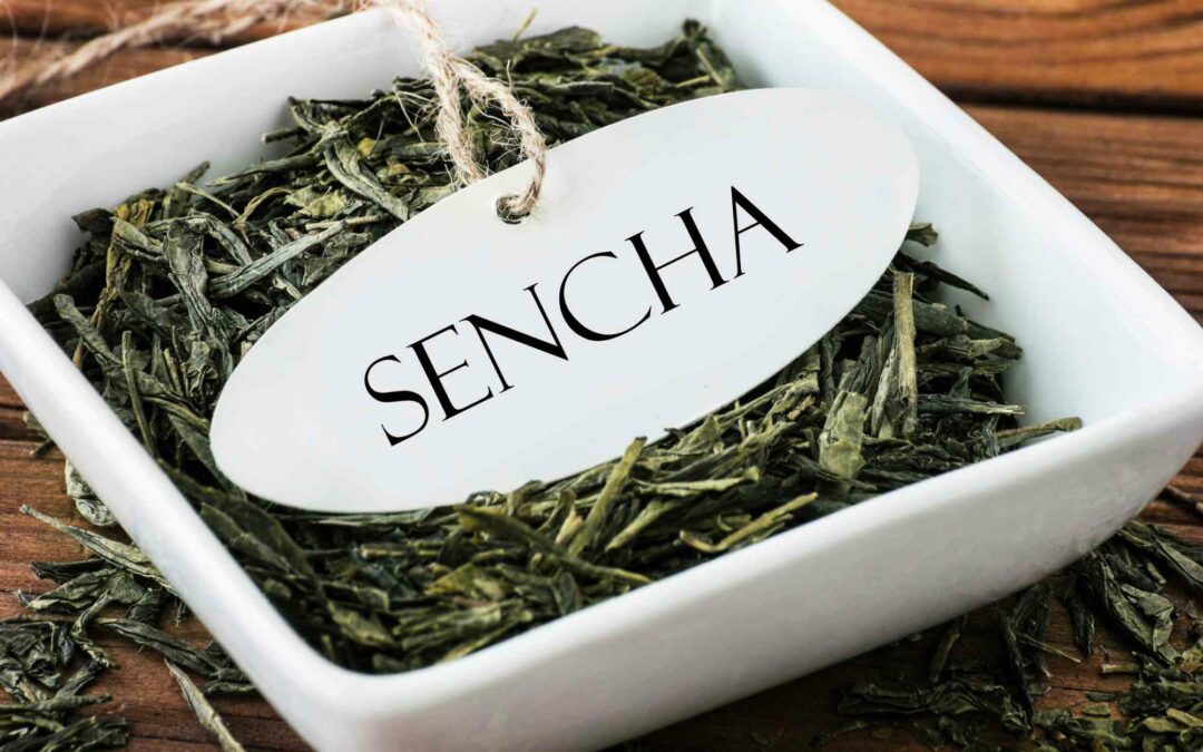 Tout savoir sur le thé vert japonais : Le Sencha