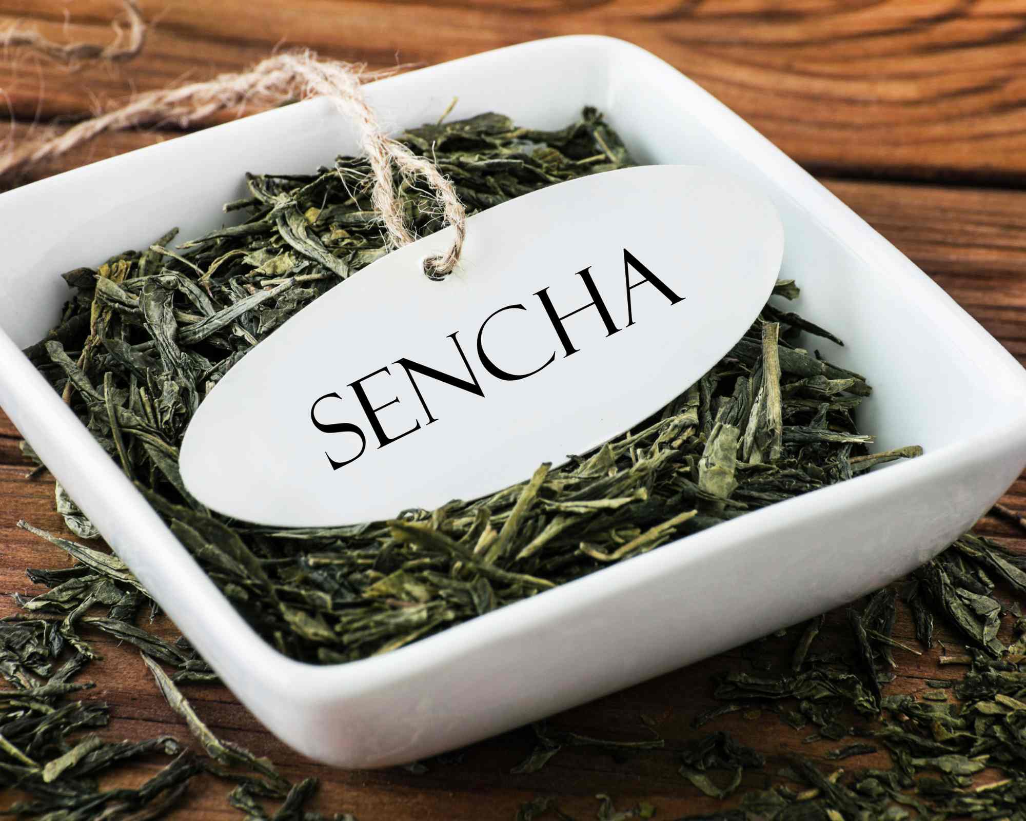 sencha