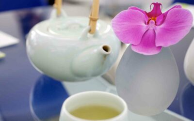 L’histoire et la culture du thé au Japon.