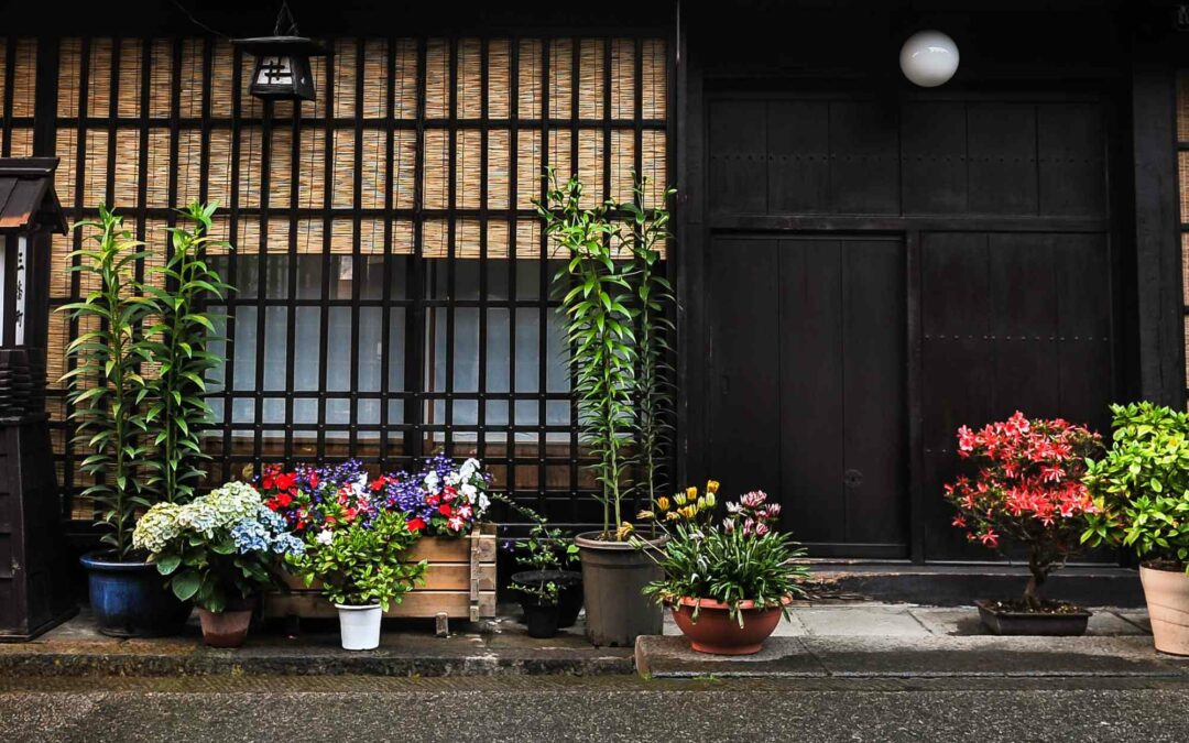 Les salons de thé japonais : où en trouver et comment en profiter.