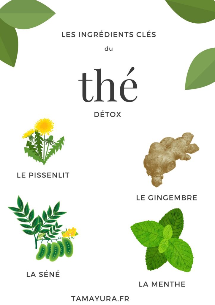 Les ingrédients clés du thé détox