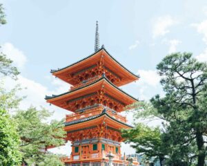 saisonnalité des thés japonais