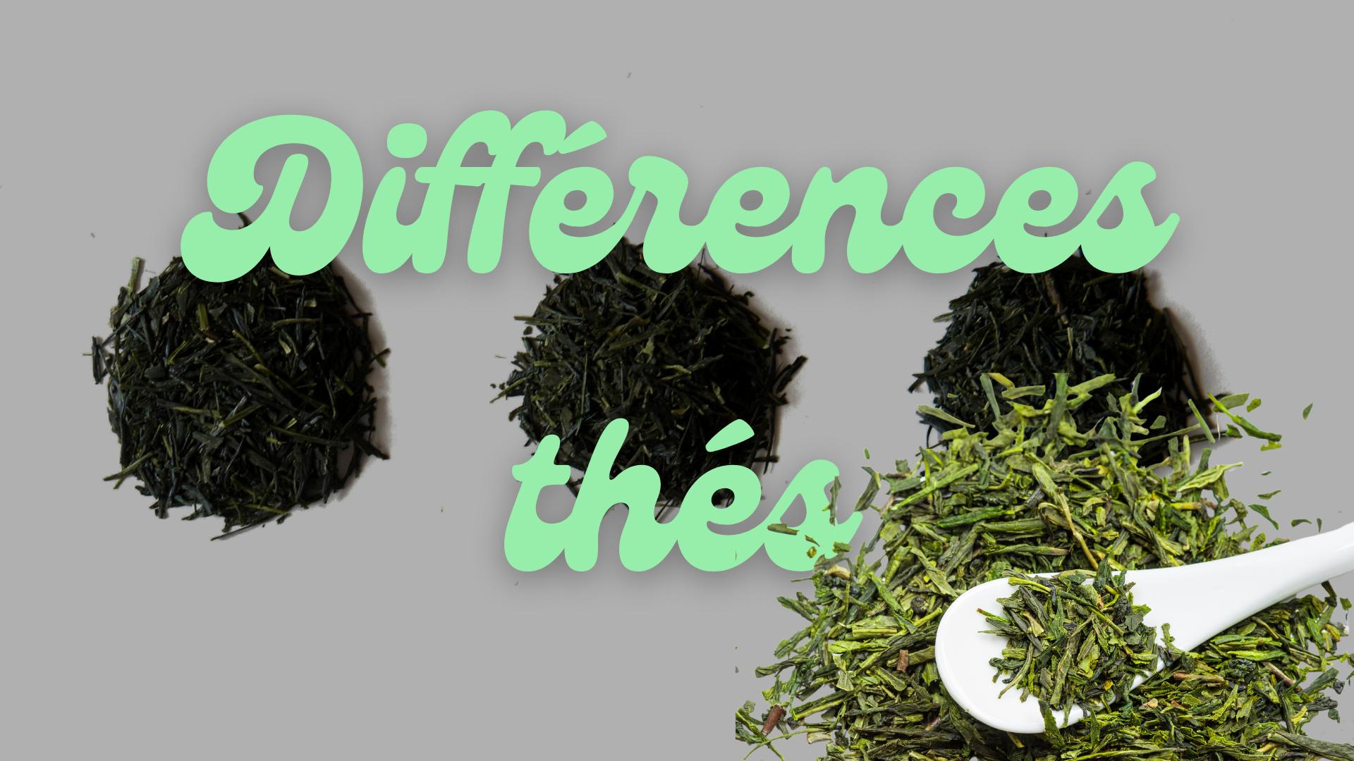 différences thés Thés japonais